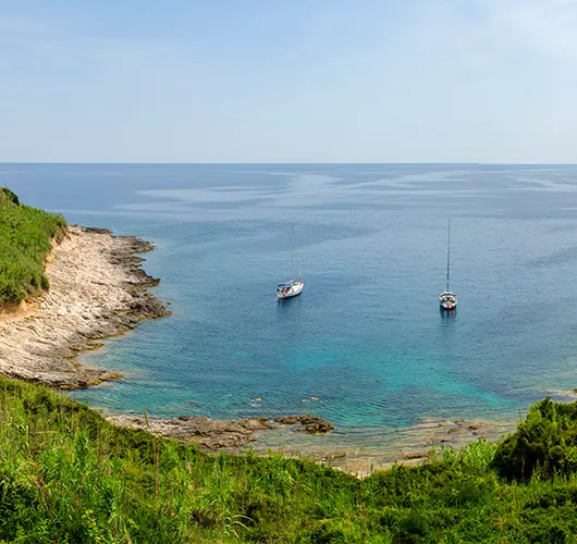 Susak