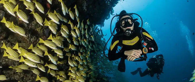 Top Island Destinations for Scuba Diving in Croatia